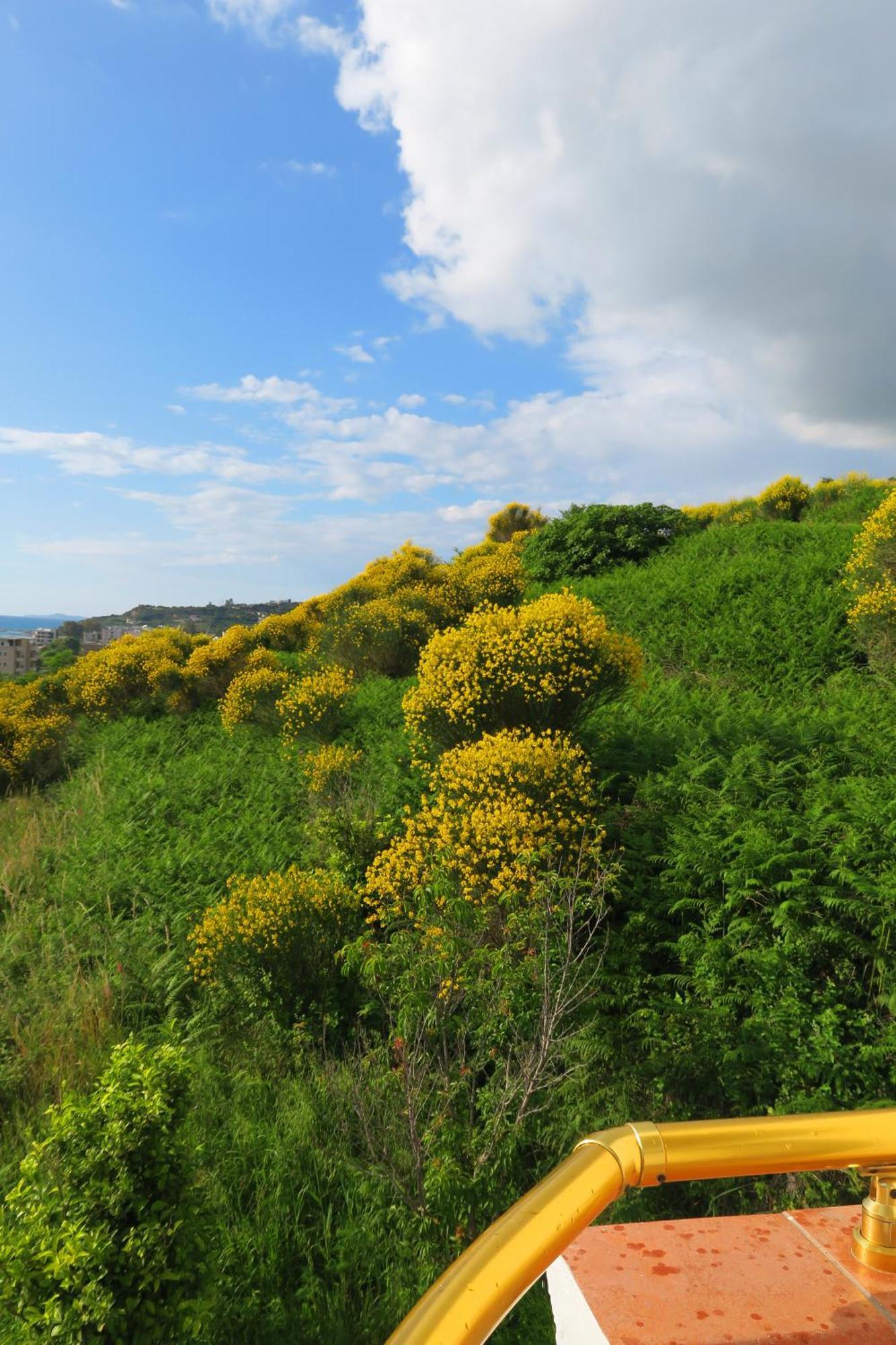 Radhimë Doko Hotel מראה חיצוני תמונה